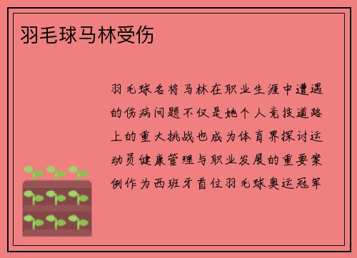 羽毛球马林受伤